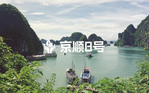 地坛医院治疗关系转出流程