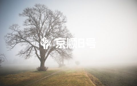 挂号注意事项