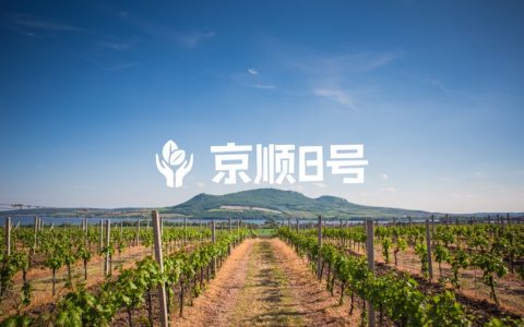 常见问题