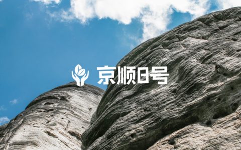 尿酸高就是痛风么