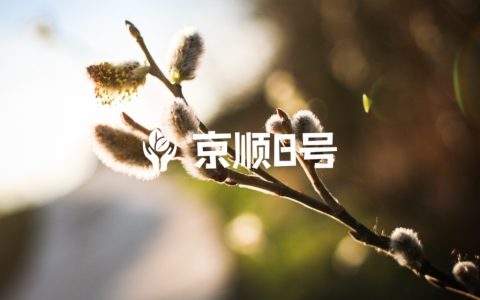 外院患者转入北京地坛医院流程