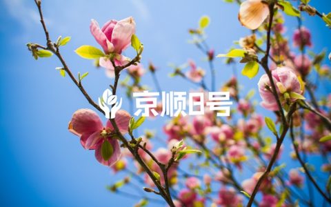 第一次来地坛就诊全攻略