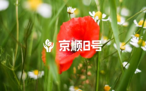 空腹抽血前可以喝水吃药吗？